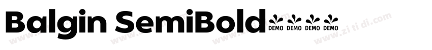 Balgin SemiBold字体转换